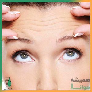 بوتاکس چیست